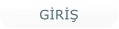 GİRİŞ