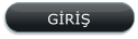 GİRİŞ